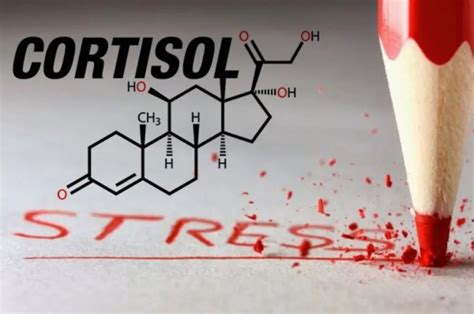 Последствия повышенного уровня кортизола