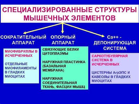 Последствия продолжительной ответной реакции для организма