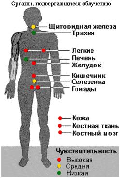 Последствия разрыва тканей и их влияние на здоровье