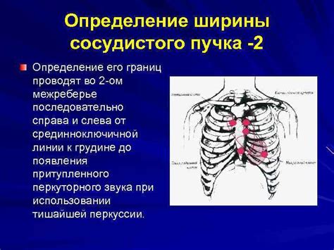 Последствия расширения границ сердца