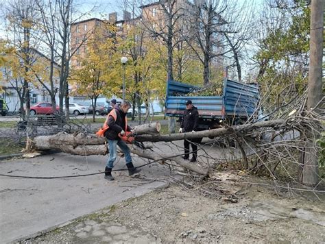 Последствия сельдяного ветра