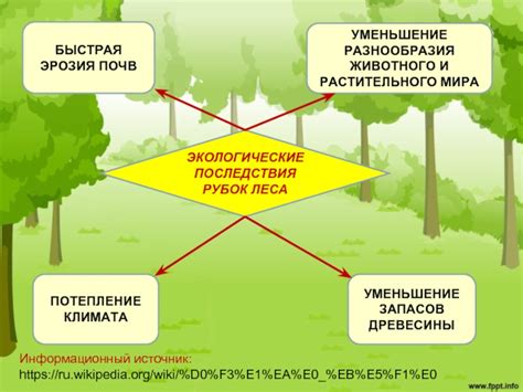 Последствия тычковки леса для растительного мира