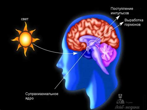 Последствия хронического недосыпания на нервную систему