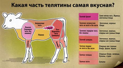 Потенциальные риски и предостережения при употреблении говядины и телятины для детей