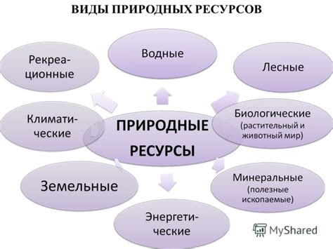 Потенциал реимпорта для экономики