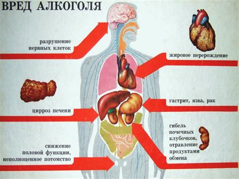 Потенцирующий эффект других веществ на действие алкоголя