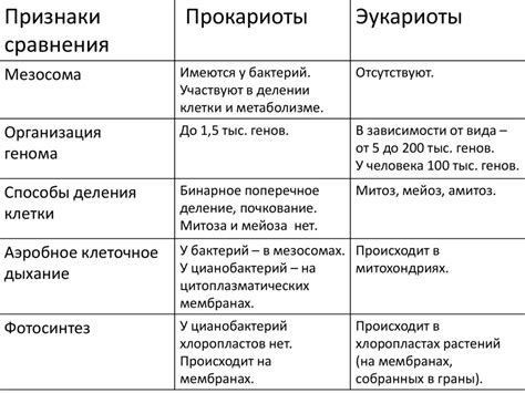 Потерянное ядро: причины и решения