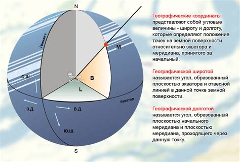 Потерянные сокровища земли: где и как растет труфель