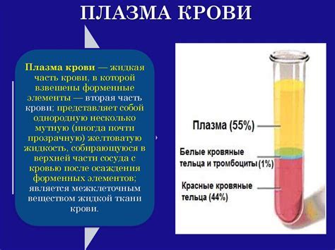 Потеря крови: проблемы и последствия