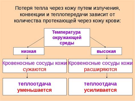 Потеря тепла через кожу и воздух