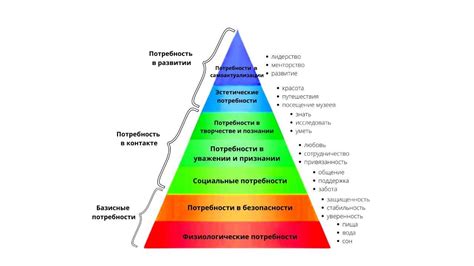 Потребности и желания сознания: символика снов о молодости и привлекательности