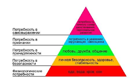 Потребность в защите и убежище