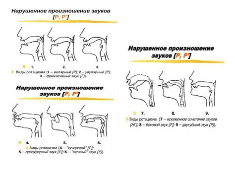 Почему важно определить варианты произношения и их значения?