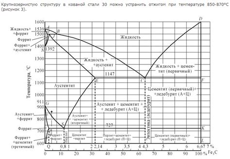 Почему важно поддерживать однородную крупнозернистую структуру печени?