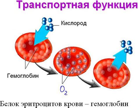 Почему возникает липемия крови?