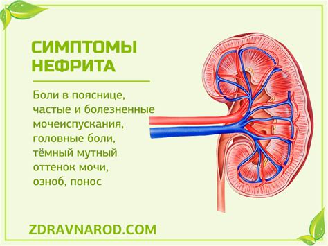 Почему возникают боли в почках при вдохе?