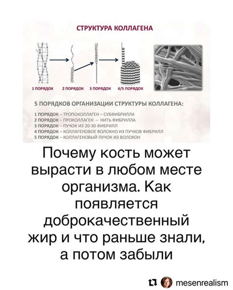 Почему кость может быть обглоданной?