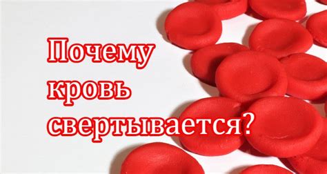 Почему кровь не свертывается?