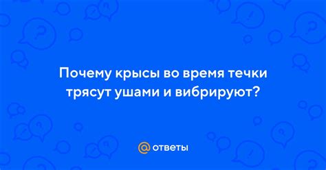 Почему крысы настойчиво "проскакивают" во время наших снов: детальное объяснение