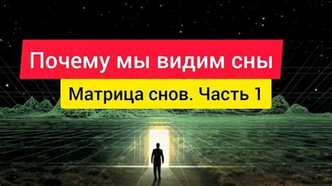 Почему мы видим сны: научное обоснование