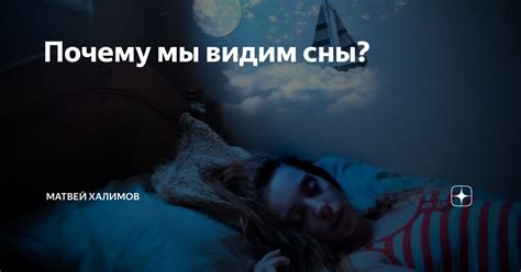 Почему мы видим сны о ссорящихся псах?