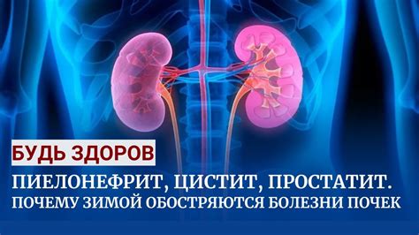 Почему необходима посадка почек?