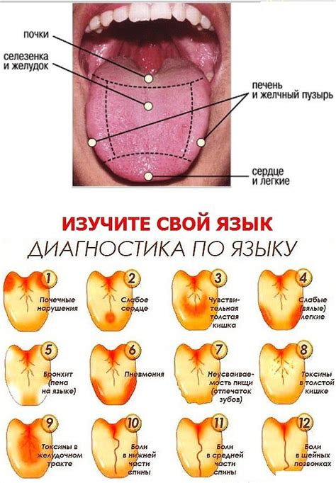 Почему происходит временная потеря чувствительности кончика языка?