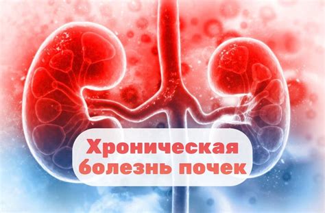 Почему стенки почек уплотнены: причины и последствия