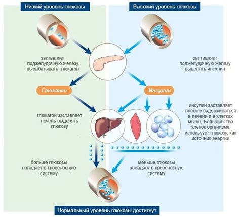 Почему уровень глюкозы в крови может повыситься?