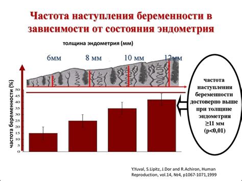 Почему эндометрий не изменен?