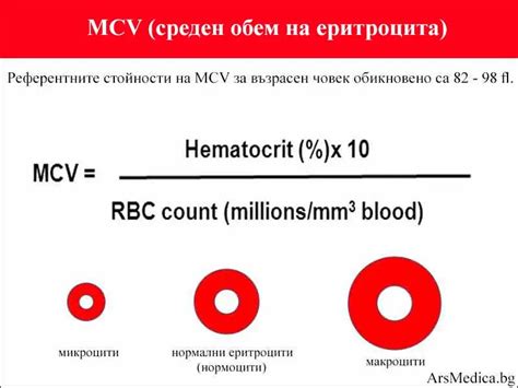 Почему MCV понижен при хронических заболеваниях