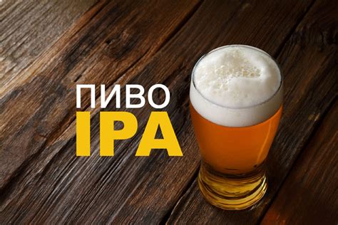 Почему Session IPA стал популярным среди пивных гурманов?