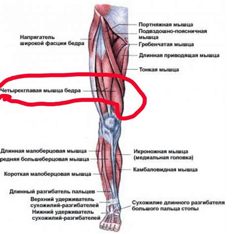 Появление воды в бедрах