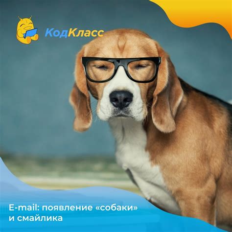 Появление собаки как предзнаменование прощания