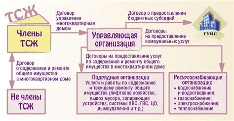 Права и обязанности собственника участка ТСЖ