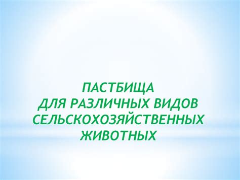 Правила пастбища для пастухов