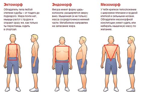 Правила подбора