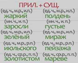 Правила согласования прилагательных с существительными различного рода в латыни