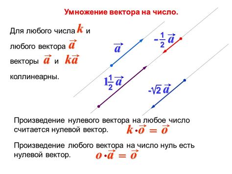 Правило 2: Значение запятой вектора в физике