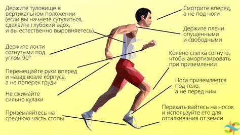 Правильная техника бега для снижения нагрузки на колени