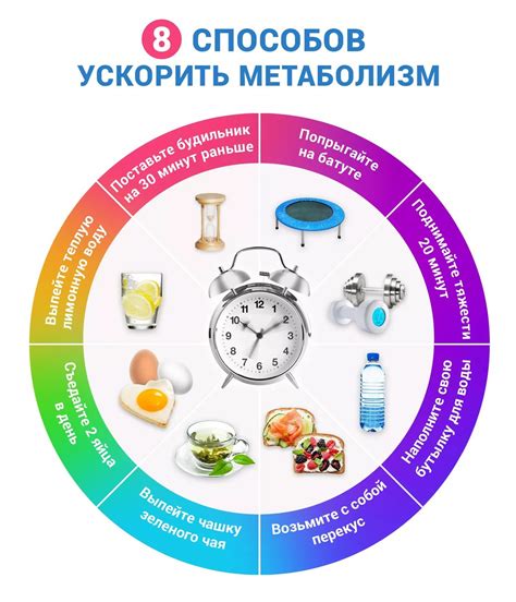 Правильное питание и метаболизм