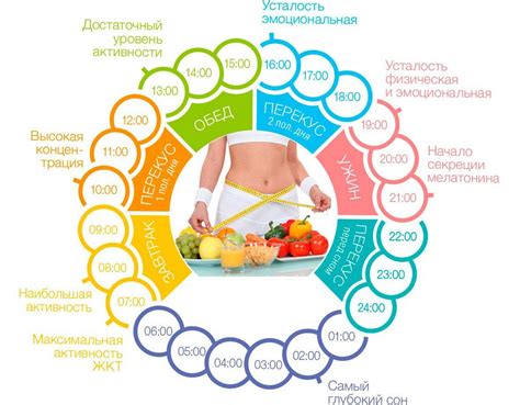 Правильное питание и режим дня