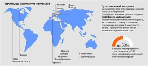 Правовой анализ совершеннолетия в разных странах