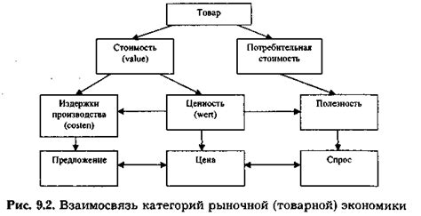 Практическая сторона волонтёрского опыта: ценность и полезность