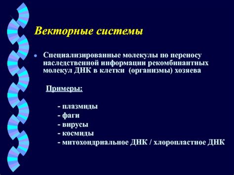 Практические примеры использования наследственной информации