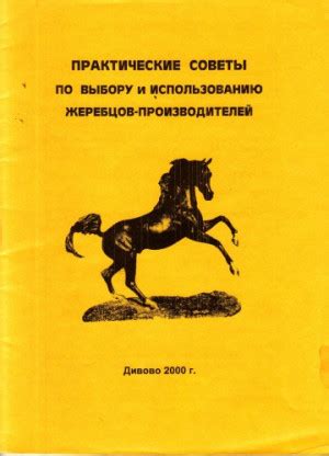 Практические советы по использованию рукоприкладства