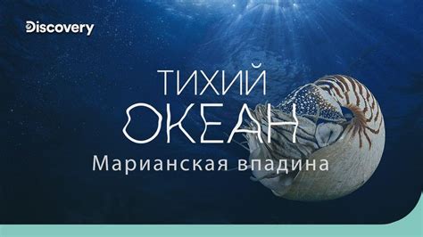 Практическое значение глубины 6 футов