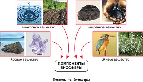 Практическое применение биокосного вещества