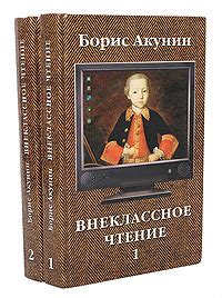 Превосходство внеклассного чтения: изучение книг Акунин'a