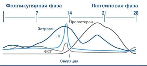 Предотвращение повышенной лютеиновой фазы